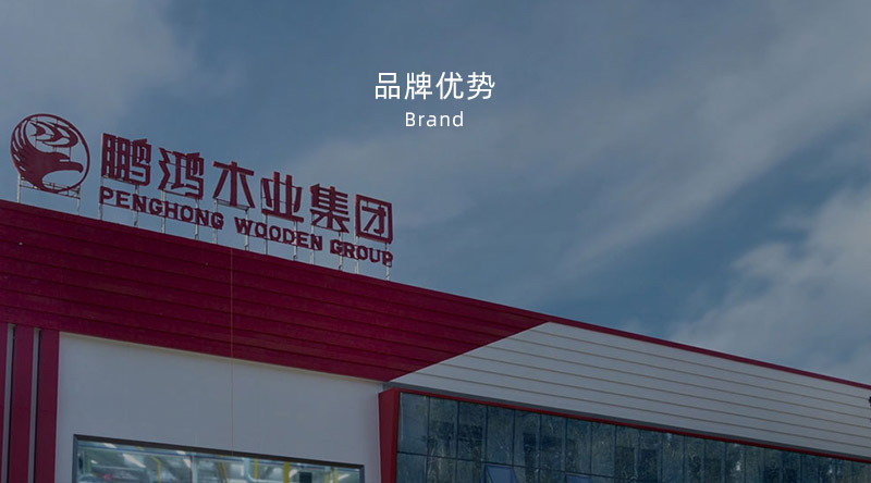 板材品牌、全屋定制品牌、生態(tài)板十大品牌