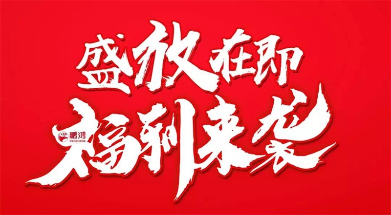 再拓疆域！鵬鴻We+定制&紅星美凱龍聯(lián)袂亮相烏魯木齊